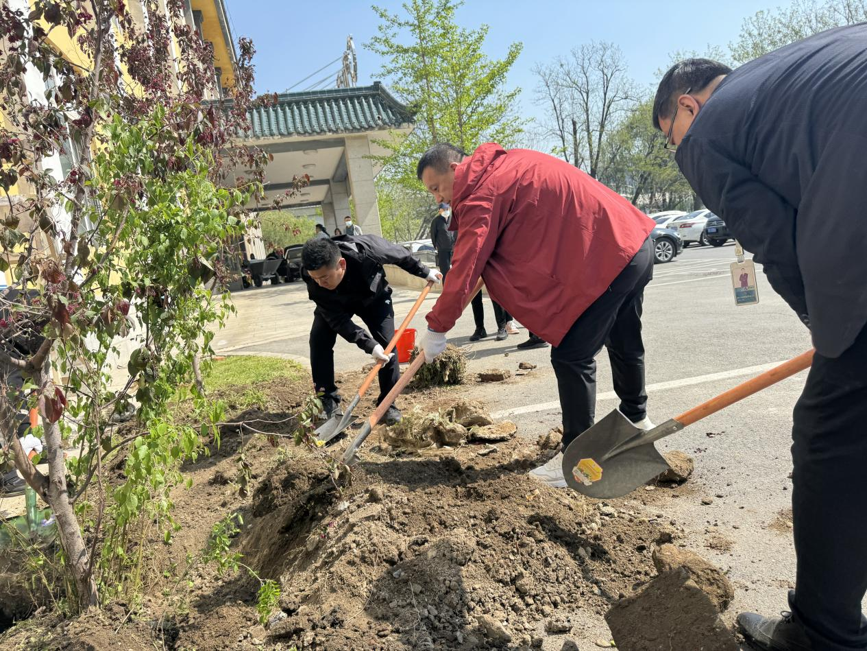 植樹造林添新綠，共創(chuàng)秀美鋼都景